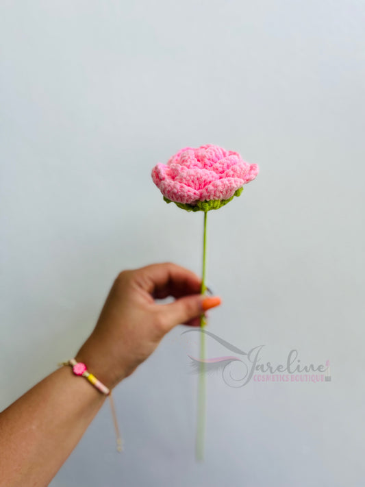 Rosa en Crochet regala a mamá